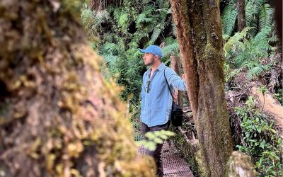 Chañar paisajismo: cuando el paisaje entra al plano